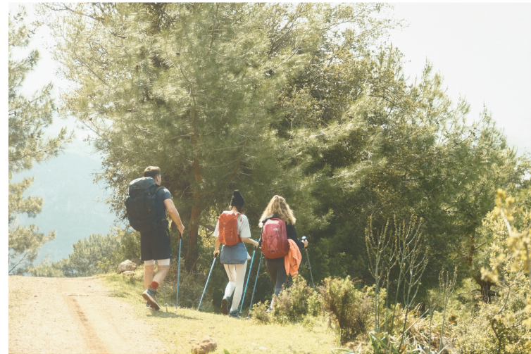 Mountain Hiking Safety: Tips for Remote and Isolated Areas